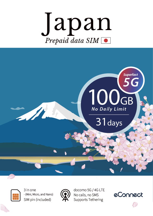 100GB Data SIM (5G)